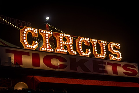 Circus Performer